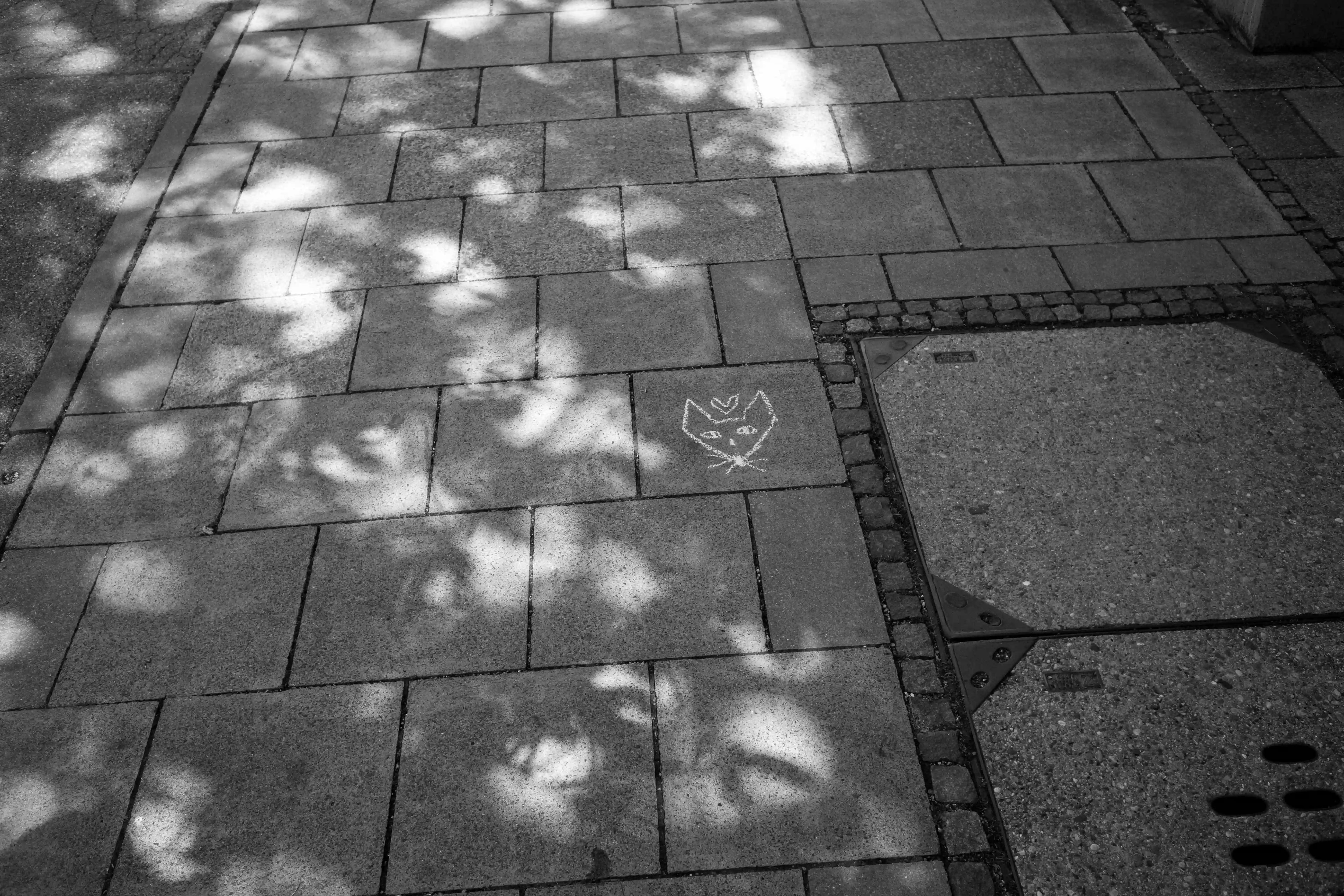 Stimmungsbild von Zirbenfüxlein mit handgemaltem weißem Kreidefuchs auf gepflastertem Gehweg, Sonnenflecken im urbanen Umfeld.